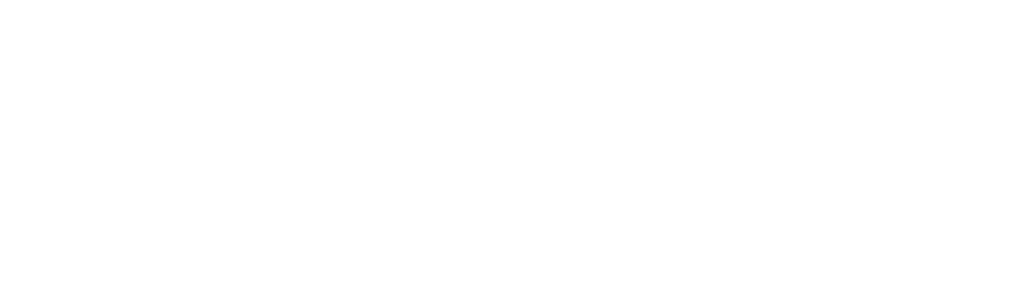 ALTA — Software and Marketing Agency