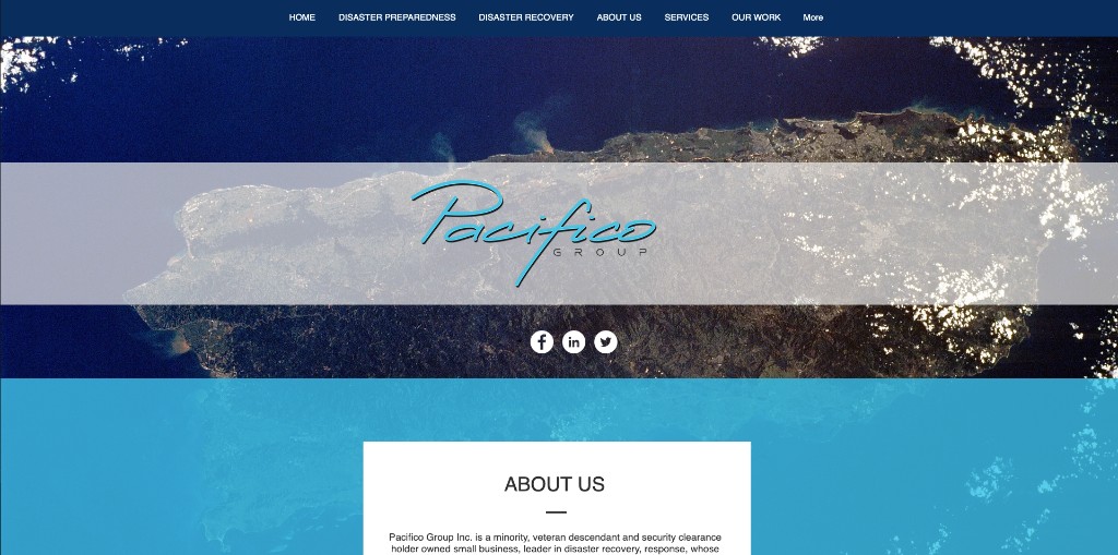 Pacific Group previous website design